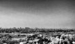 IMG_0791-Edit